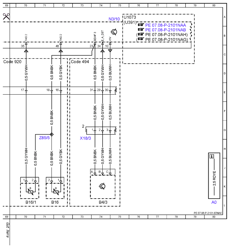 G10077528