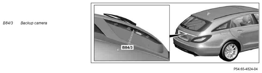 G10083211
