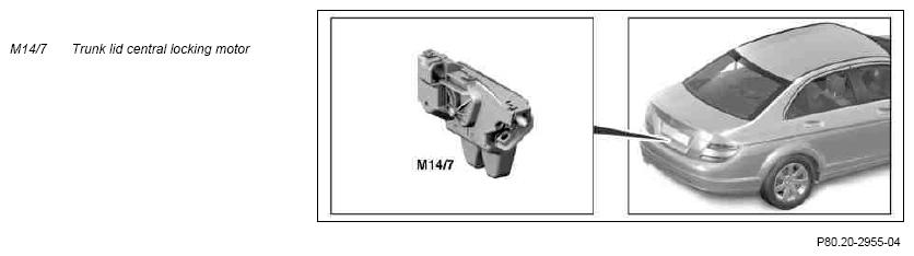 G10106313