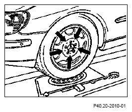 G10110141