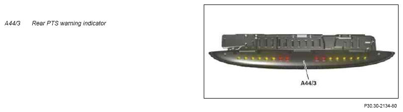 G10111081