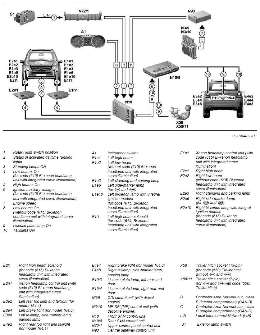 G10118061