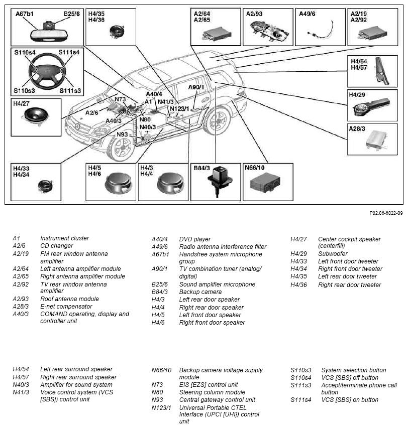 G10118261