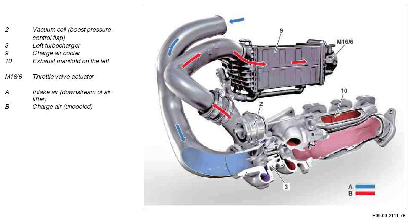 G10126526