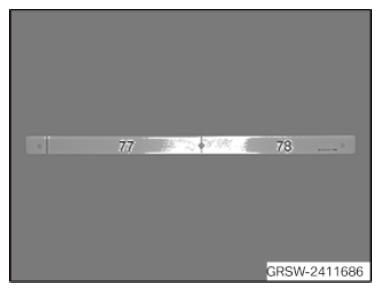G10135884