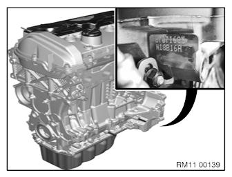 G10144616