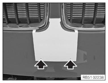 G10176559