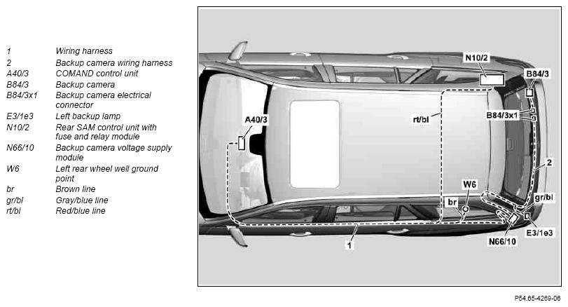 G10239976