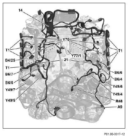 G10240481