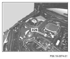 G10240882