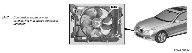 G10242181