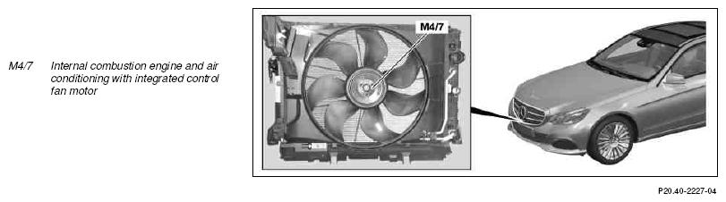 G10242195