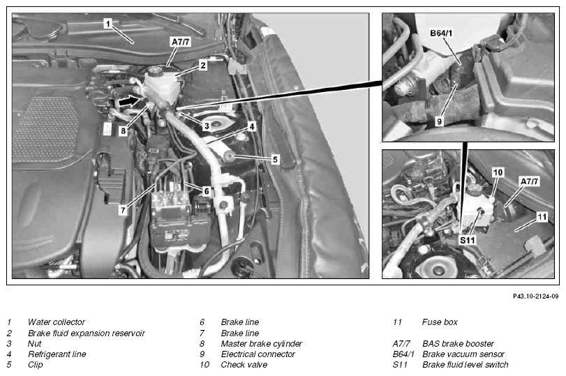 G10248176