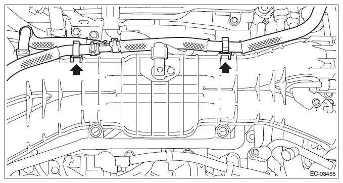 G10266425