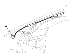 G10589596