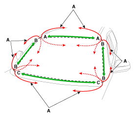 G10589616