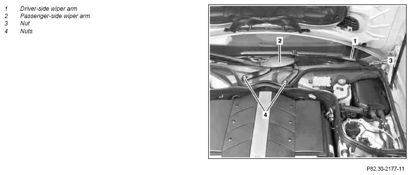 G10768558