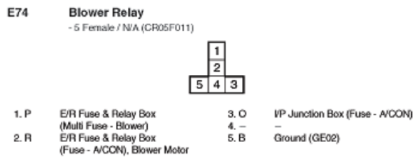 G10798313