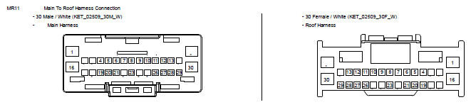 G10809539