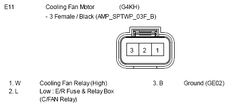 G10810393