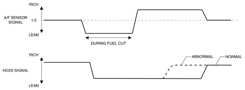 G10915779