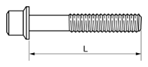 G10916062