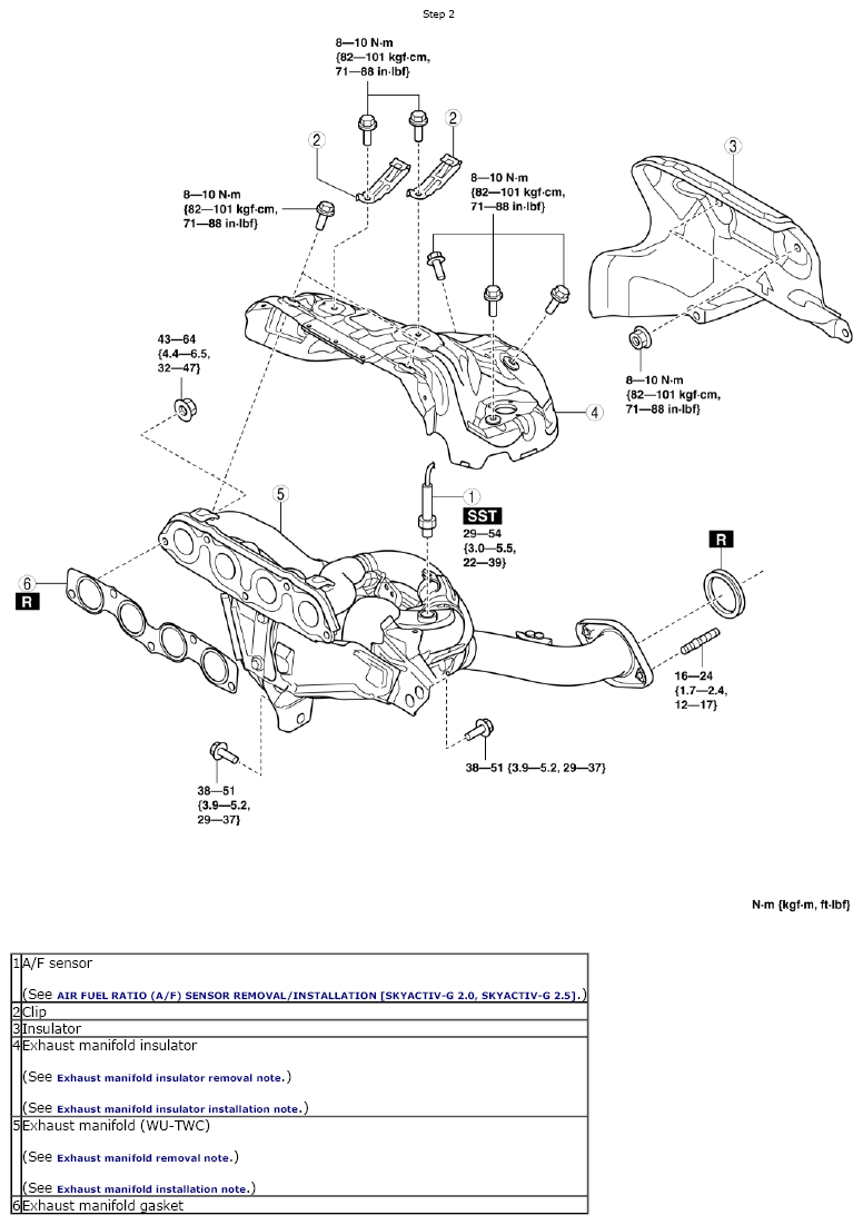 G10916386