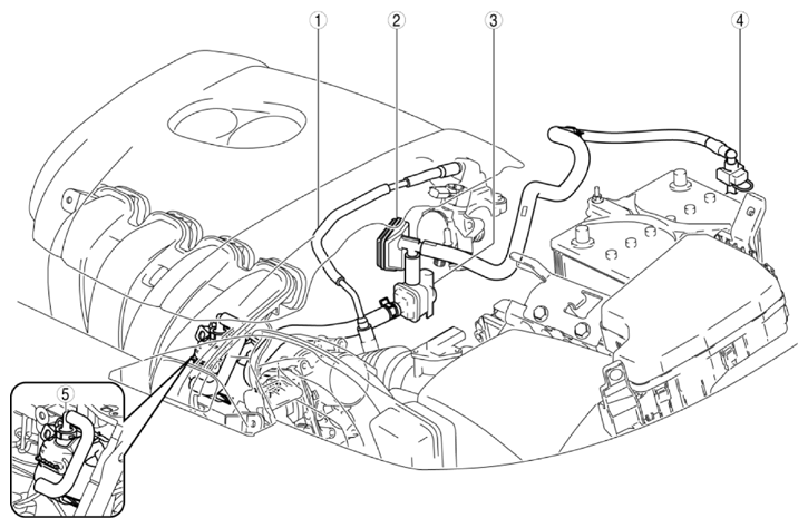 G10916405