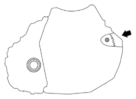 G10937172