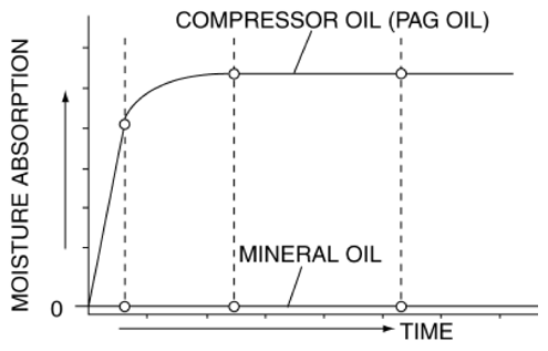 G10937488