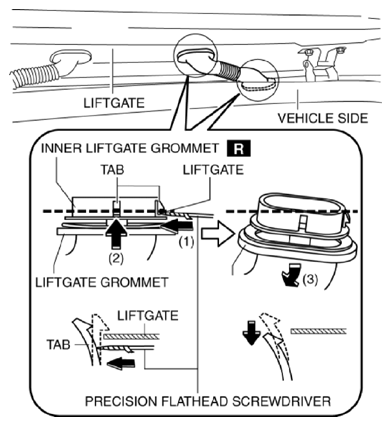 G10939556