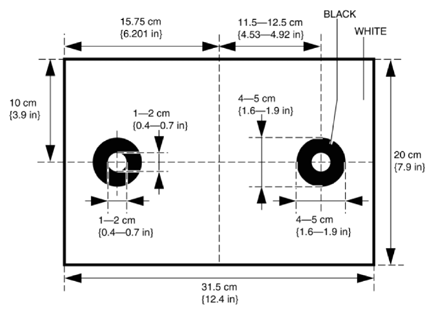 G10939986