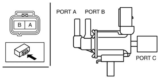 G10946807