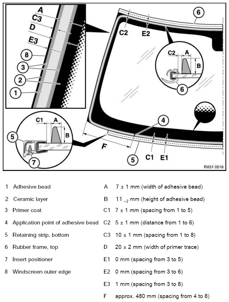 G11003646
