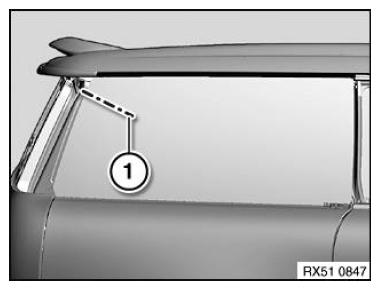 G11003749