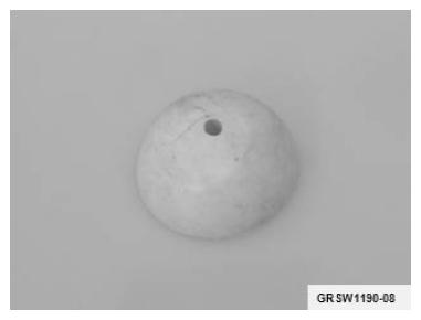 G11011121