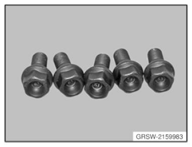 G11011479