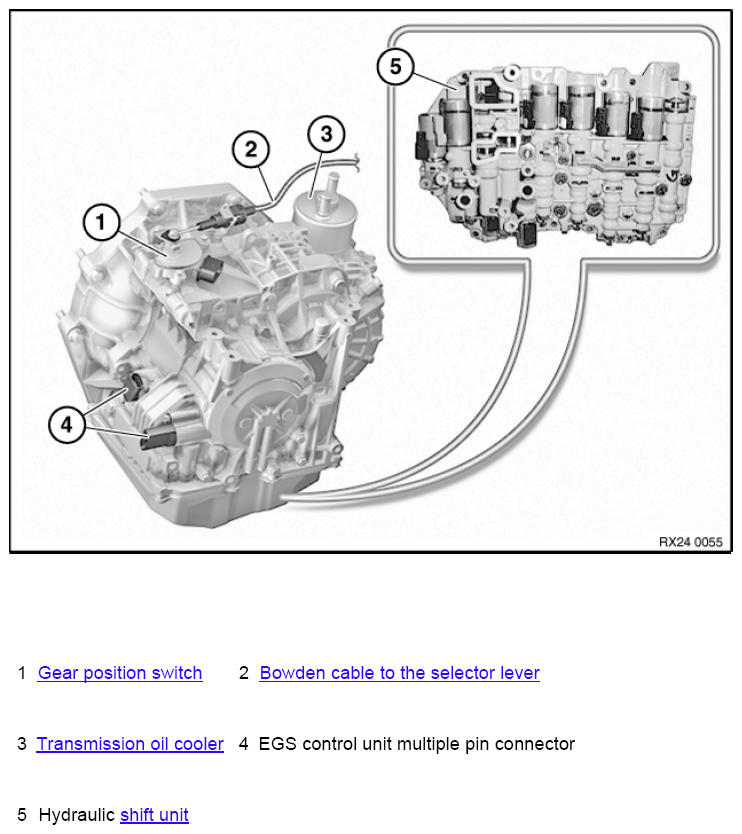 G11023253