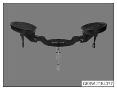 G11025560