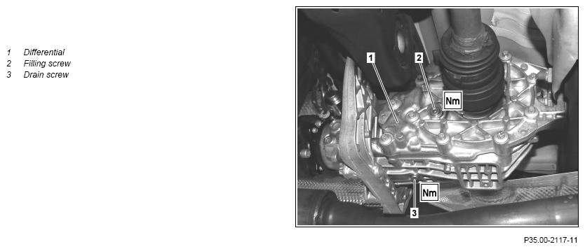 G11065541