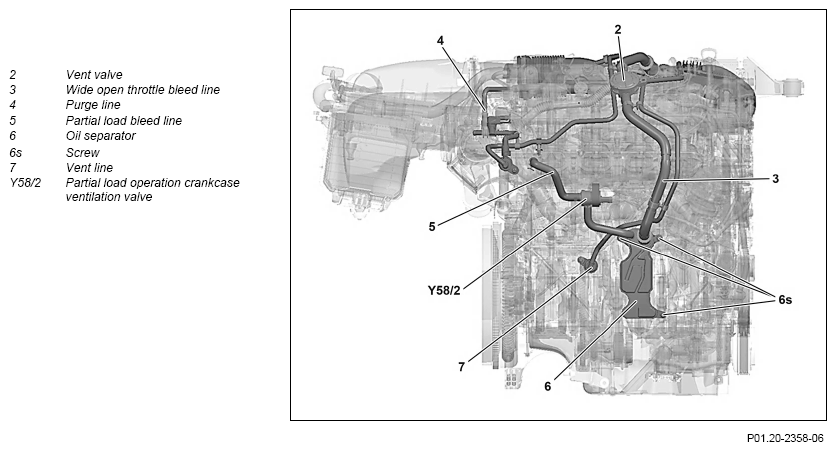 G11065564