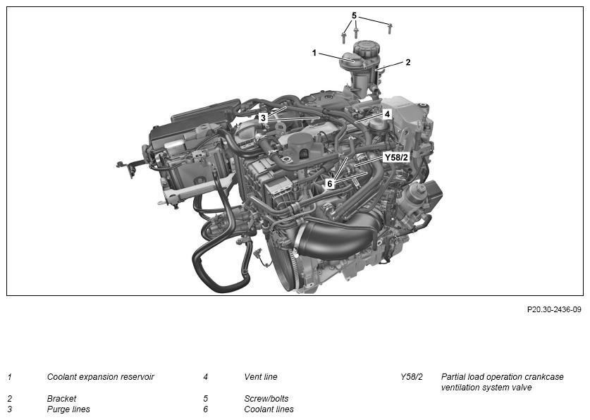 G11065663