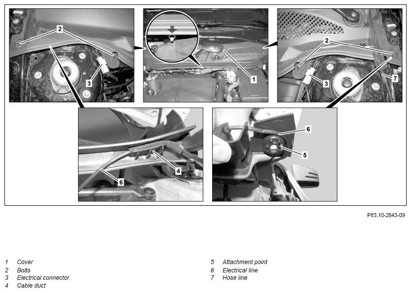 G11065862