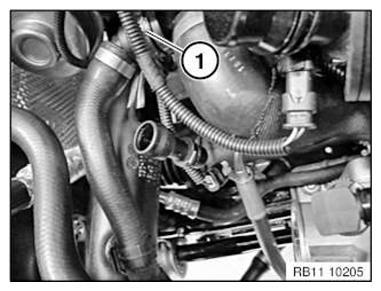 G11086651