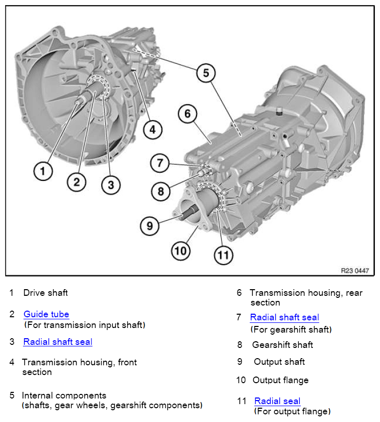 G11087316