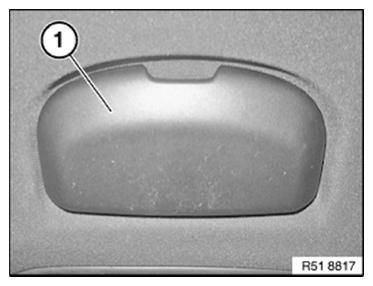 G11091636