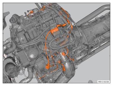 G11103764