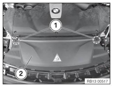 G11104231
