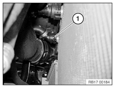 G11104621
