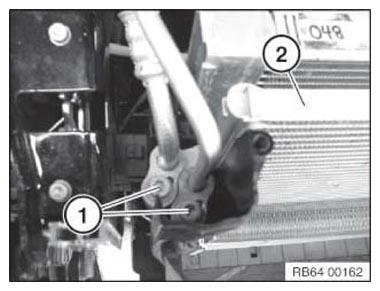 G11113884